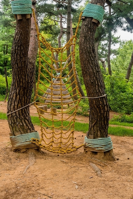 Yellow rope ladder hanging between two trees part of exercise and obstacle course in public park, South Korea, South Korea, Asia, by aminkorea