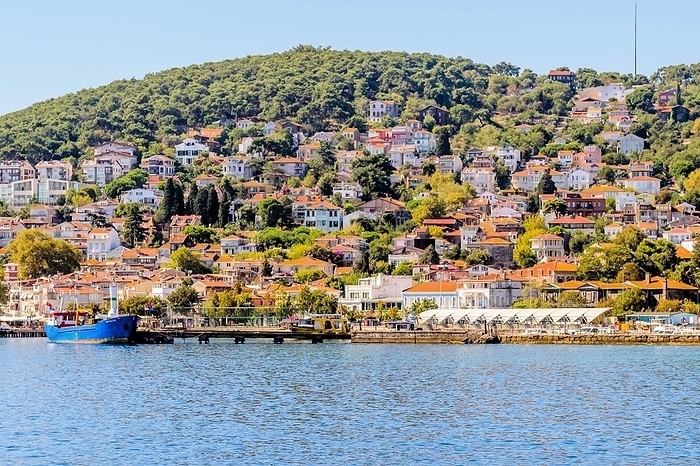 Houses on Princess Island and tanker docked in harbor in Turkey, by aminkorea