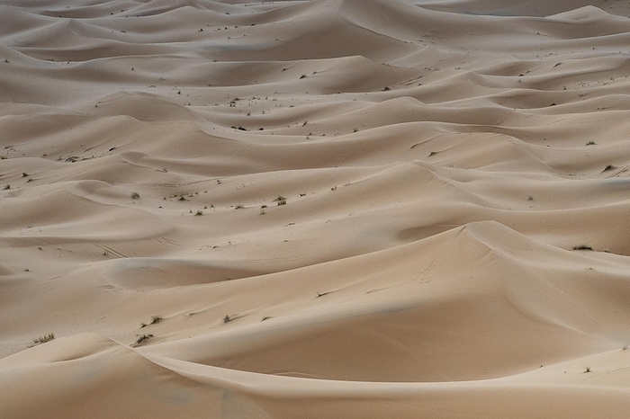 Dunes in the desert, Erg Chebbi, Sahara, Merzouga, Morocco, Africa, by Sonja Jordan
