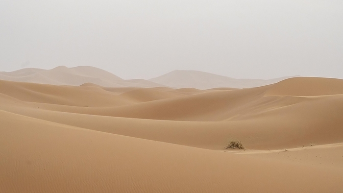 Sandstorm in the desert, dunes, Erg Chebbi, Sahara, Merzouga, Morocco, Africa, by Sonja Jordan