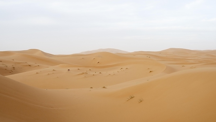 Dunes in the desert, Erg Chebbi, Sahara, Merzouga, Morocco, Africa, by Sonja Jordan