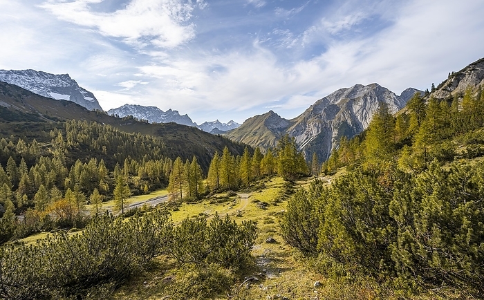 Mountain panorama with steep rocky peaks, yellow-coloured larches in autumn, hike to the summit of the Hahnkampl, Engtal, Karwendel, Tyrol, Austria, Europe, by Mara Brandl