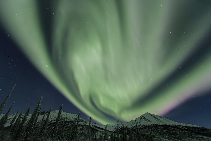 Northern Lights over snowy mountains and trees, Aurora borealis, Brooks Range, Alaska, by Martina Melzer