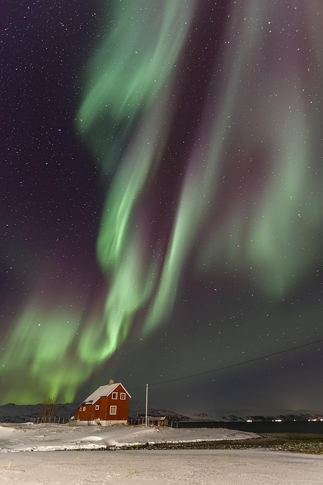 Northern lights over a red house by the sea, aurora borealis, snow, winter, Kvalsund, Repparfjord, Finnmark, Norway, Europe, by Martina Melzer