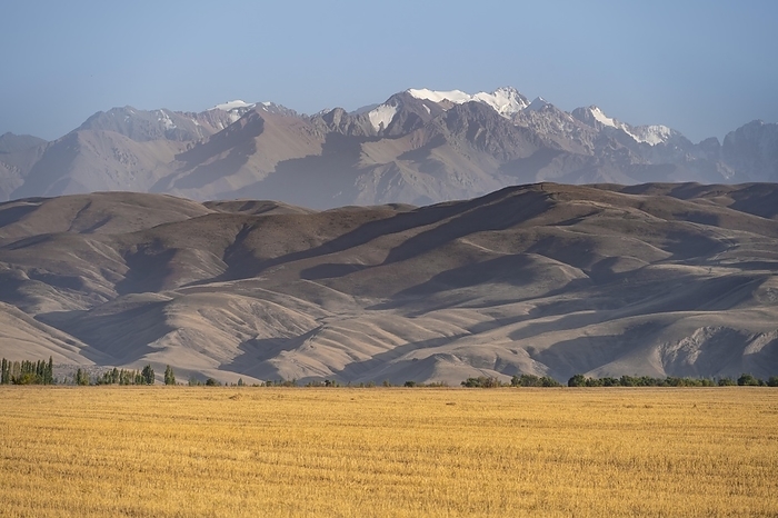 Field in front of barren erosion landscape and high mountains, Kyrgyzstan, Asia, by Moritz Wolf