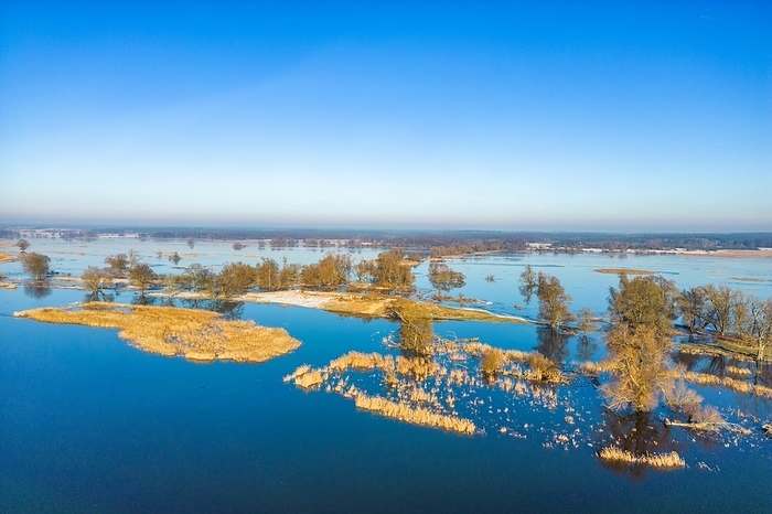 Aerial view, drone photo: Flood, flooded meadows in the floodplains along the river Oder, Groß Neuendorf, Oderbruch, Brandenburg, Germany, Europe, by Oliver Gerhard