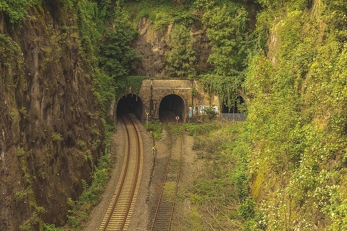 Two railway tunnels surrounded by densely overgrown rock faces and tracks, Rauenthal tunnel, on the right disused Langerfeld tunnel, Beyenburg line, Wuppertal Langerfeld, North Rhine-Westphalia, Germany, Europe, by Rico Mark Rüde