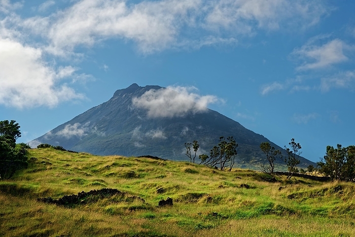 View of the volcanic mountain Pico over a green, shining grass landscape, Madalena, Pico, Azores, Portugal, Europe, by Michael Rucker