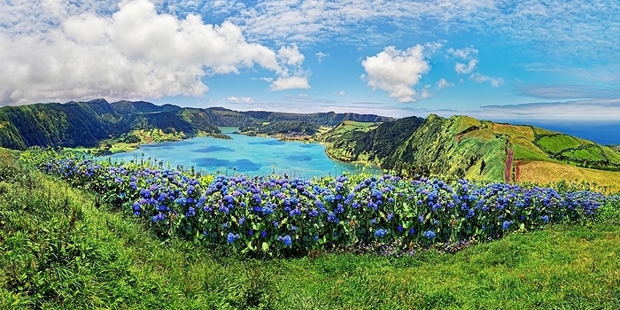 Panoramic view of the crater lake Lagoa Azul with the green overgrown crater rim surrounded by blue hydrangeas, Lagoa Azul, circular hiking trail, Caldeira das Sete Cidades, Sete Cidades, Sao Miguel Island, Azores, Portugal, Europe, by (Mehrfach-Werte)