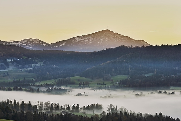 Forest shrouded in fog, the Rigi in the background, Canton Zug, Switzerland, Europe, by Stefan Huwiler