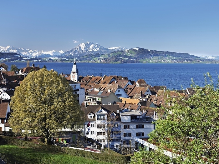View from the rose garden at the Guggi to the Zytturm, church, old town, Pilatus in the background, Zug, Canton Zug, Switzerland, Europe, by Stefan Huwiler