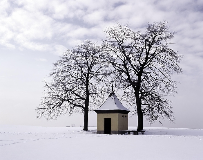 Small chapel in the Franconian Forest in winter, between two trees in a snowy landscape, district of Kronach, Upper Franconia, Bavaria, Germany, Europe, by Sunny Celeste