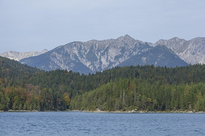 Eibsee lake with Ammergau Alps, Grainau, Werdenfelser Land, Upper Bavaria, Bavaria, Germany, Europe, by Torsten Krüger
