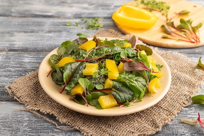 Vegetarian vegetables salad of yellow pepper, beet microgreen sprouts on gray wooden background and linen textile. Side view, close up, by ULADZIMIR ZGURSKI