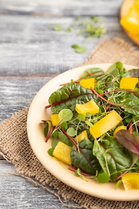 Vegetarian vegetables salad of yellow pepper, beet microgreen sprouts on gray wooden background and linen textile. Side view, close up, selective focus, by ULADZIMIR ZGURSKI