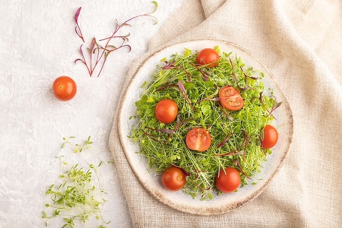 Vegetarian vegetables salad of tomatoes, celery, onion microgreen sprouts on gray concrete background and linen textile. Top view, flat lay, close up, by ULADZIMIR ZGURSKI