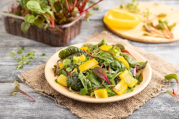 Vegetarian vegetables salad of yellow pepper, beet microgreen sprouts on gray wooden background and linen textile. Side view, close up, selective focus, by ULADZIMIR ZGURSKI