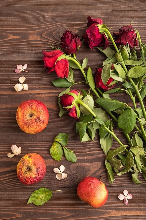 Withered, decaying, roses flowers and apples on brown wooden background. top view, flat lay, close up, still life. Death, depression concept, by ULADZIMIR ZGURSKI