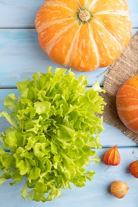 Microgreen sprouts of lettuce with pumpkin on blue wooden background. Top view, flat lay, close up, by ULADZIMIR ZGURSKI