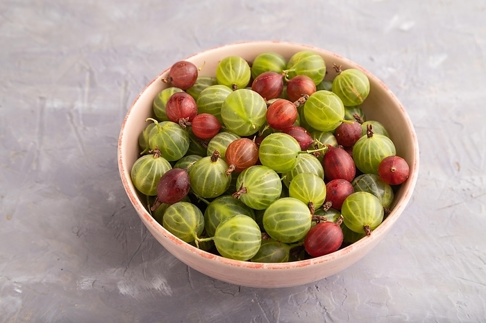 Fresh red and green gooseberry in ceramic bowl on gray concrete background. side view, close up, by ULADZIMIR ZGURSKI