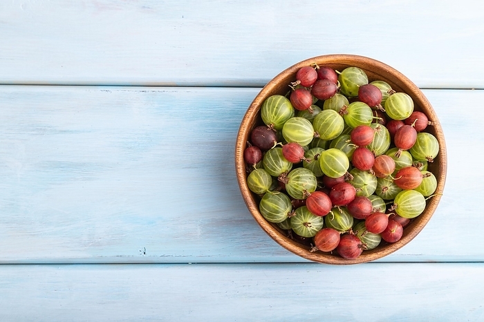Fresh red and green gooseberry in wooden bowl on blue wooden background. top view, flat lay, copy space, by ULADZIMIR ZGURSKI