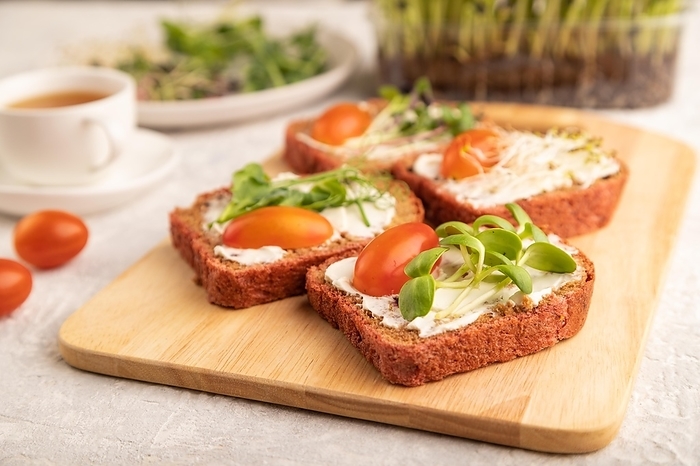 Red beet bread sandwiches with cream cheese, tomatoes and microgreen on gray concrete background. side view, close up, selective focus, by ULADZIMIR ZGURSKI