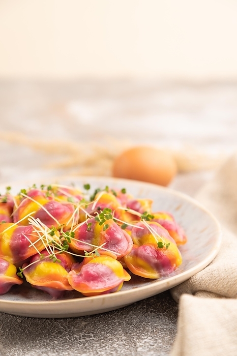 Rainbow colored dumplings with pepper, herbs, microgreen on brown concrete background and linen textile. Side view, selective focus, copy space, by ULADZIMIR ZGURSKI