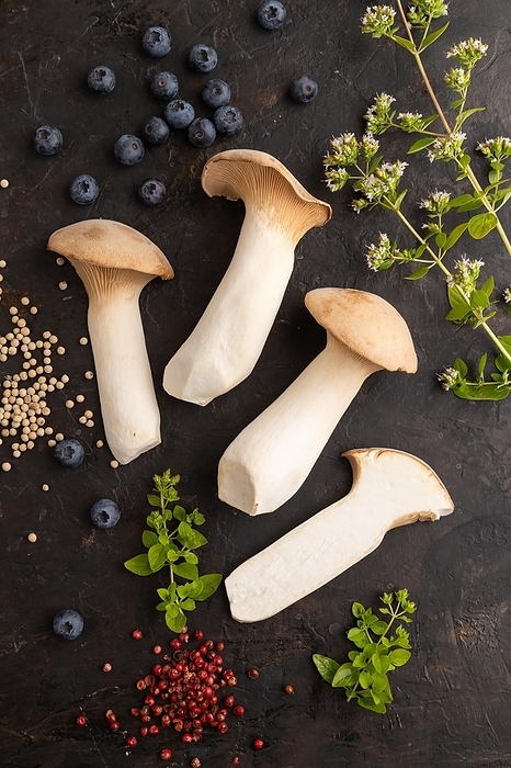 King Oyster mushrooms or Eringi (Pleurotus eryngii) on black concrete background with blueberry, herbs and spices. Top view, flat lay, by ULADZIMIR ZGURSKI