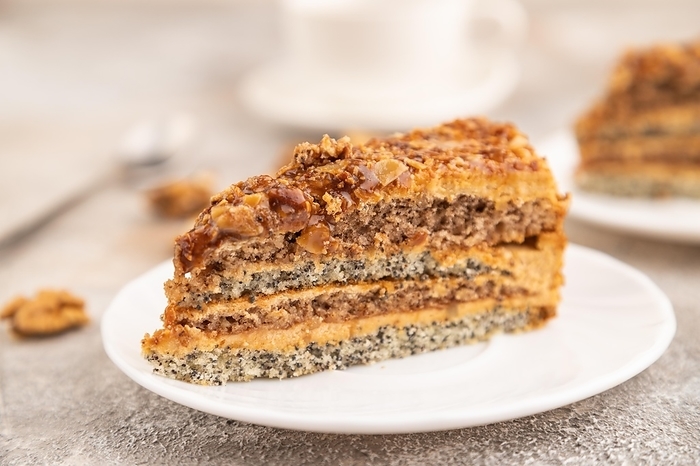 Walnut and hazelnut cake with caramel cream, cup of coffee on brown concrete background. side view, selective focus, by ULADZIMIR ZGURSKI