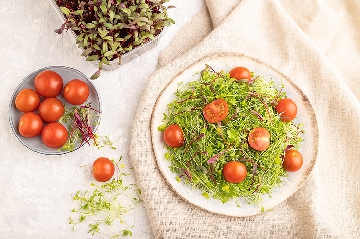 Vegetarian vegetables salad of tomatoes, celery, onion microgreen sprouts on gray concrete background and linen textile. Top view, flat lay, close up, by ULADZIMIR ZGURSKI