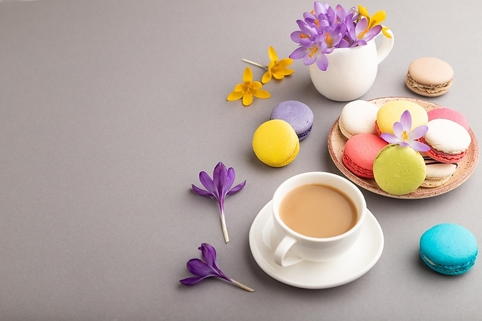 Multicolored macaroons with spring snowdrop crocus flowers and cup of coffee on gray pastel background. side view, copy space, still life. Breakfast, morning, spring concept, by ULADZIMIR ZGURSKI
