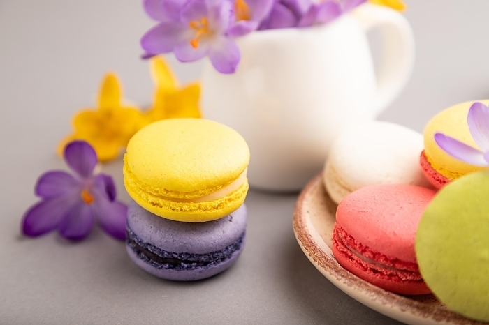 Multicolored macaroons with spring snowdrop crocus flowers on gray pastel background. side view, close up, still life, selective focus. Breakfast, morning, spring concept, by ULADZIMIR ZGURSKI
