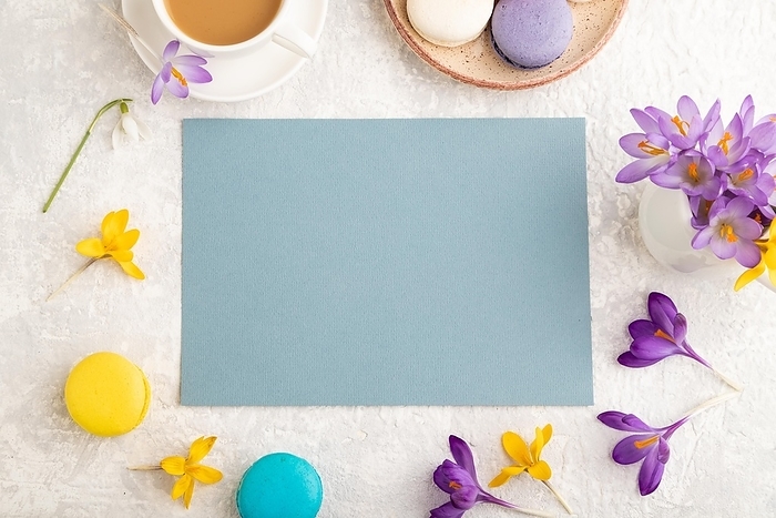 Blue paper sheet mockup with spring snowdrop crocus flowers and multicolored macaroons on gray concrete background. Blank, business card, top view, flat lay, copy space, still life. spring concept, by ULADZIMIR ZGURSKI