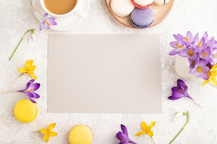Beige paper sheet mockup with spring snowdrop crocus flowers and multicolored macaroons on gray concrete background. Blank, business card, top view, flat lay, copy space, still life. spring concept, by ULADZIMIR ZGURSKI