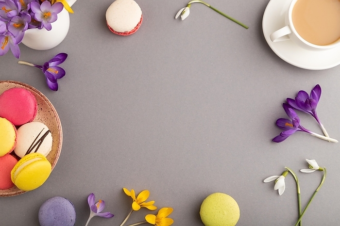 Mockup with spring snowdrop crocus flowers and multicolored macaroons on gray pastel background. Blank, business card, top view, flat lay, copy space, still life. spring concept, by ULADZIMIR ZGURSKI