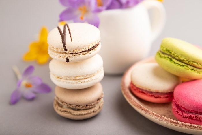 Multicolored macaroons with spring snowdrop crocus flowers on gray pastel background. side view, close up, still life, selective focus. Breakfast, morning, spring concept, by ULADZIMIR ZGURSKI