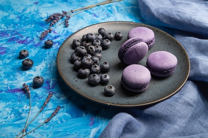 Purple macarons or macaroons cakes with blueberries on ceramic plate on a blue concrete background and blue textile. Side view, close up, by ULADZIMIR ZGURSKI