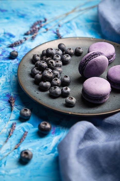 Purple macarons or macaroons cakes with blueberries on ceramic plate on a blue concrete background and blue textile. Side view, close up, selective focus, by ULADZIMIR ZGURSKI