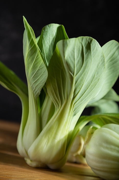 Fresh green bok choy or pac choi chinese cabbage on a gray wooden background. Hard light, contrast, dark, moody. Side view, close up, selective focus, by ULADZIMIR ZGURSKI
