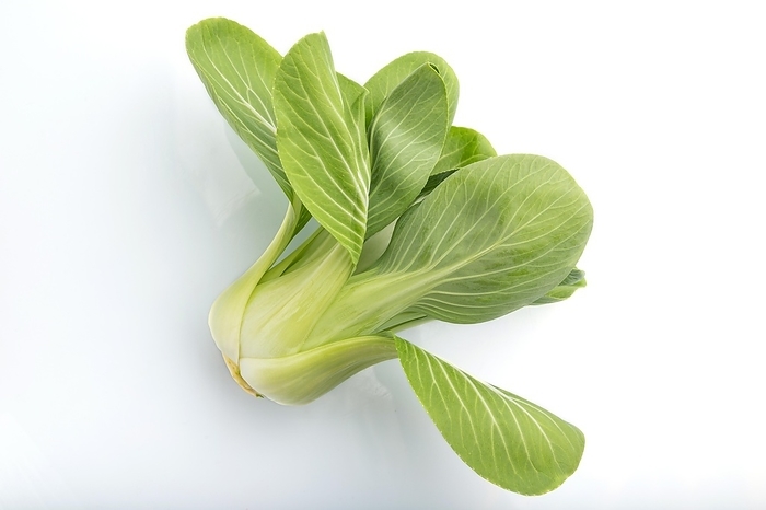 Fresh green bok choy or pac choi chinese cabbage isolated white background. Side view, close up, by ULADZIMIR ZGURSKI