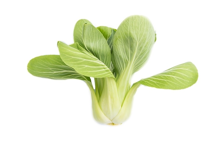 Fresh green bok choy or pac choi chinese cabbage isolated white background. Top view, close up, by ULADZIMIR ZGURSKI