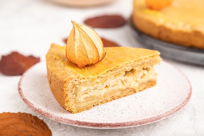 Autumn onion pie decorated with leaves and cup of coffee on gray concrete background. Side view, close up, selective focus, by ULADZIMIR ZGURSKI