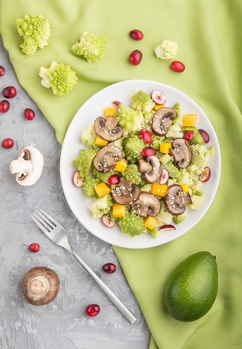 Vegetarian salad from romanesco cabbage, champignons, cranberry, avocado and pumpkin on a gray concrete background and green textile. top view, flat lay, close up, by ULADZIMIR ZGURSKI