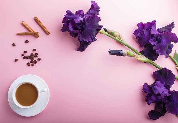 Purple iris flowers and a cup of coffee on pastel pink background. Morninig, spring, fashion composition. Flat lay, top view, copy space, by ULADZIMIR ZGURSKI