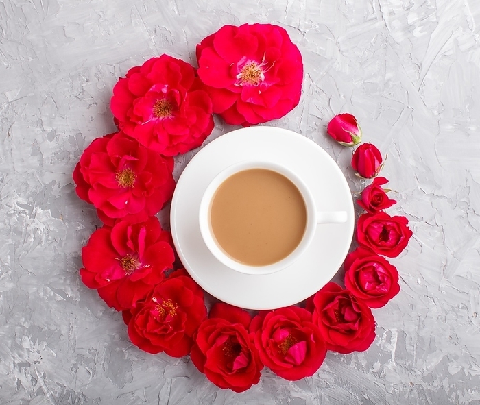 Red rose flowers in a spiral and a cup of coffee on a gray concrete background. Morninig, spring, fashion composition. Flat lay, top view, close up, by ULADZIMIR ZGURSKI