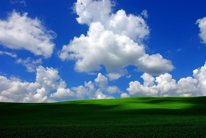 White fair weather clouds, Cumulus humilis, in the blue sky above a green corn field that looks like a meadow, light and shadow, shadow spots, by Dirk v. Mallinckrodt