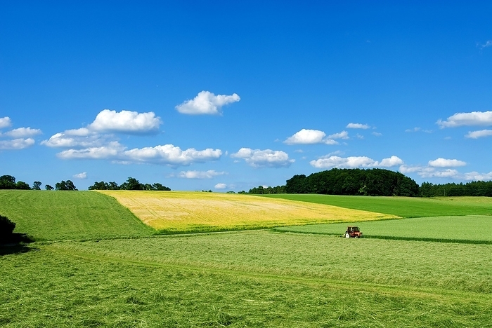 Germany Landscape with meadows and grain fields, near Altm hltal, farmer mowing a meadow with a tractor, making hay, blue sky, white clouds, Bavaria, Germany, Europe, by Dirk v. Mallinckrodt