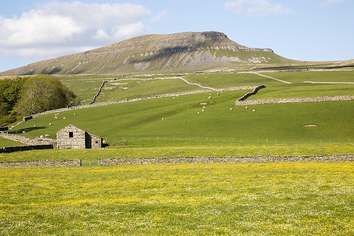 United Kingdom Carboniferous limestone scenery Pen Y Ghent, Yorkshire Dales national park, England, UK from Horton in Ribblesdale, by Ian Murray