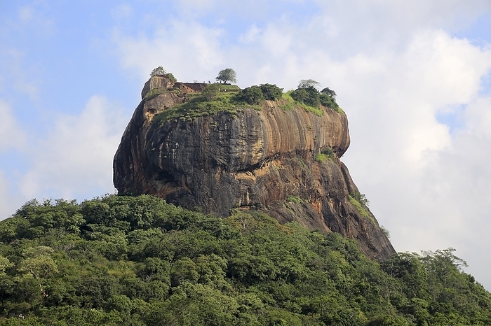 Sri Lanka Rock palace at Sigiriya, Central Province, Sri Lanka, Asia, by Ian Murray