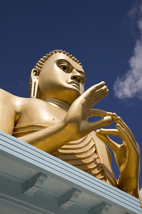 Sri Lanka Giant Golden Buddha statue at Dambulla cave temple complex, Sri Lanka, Asia, by Ian Murray